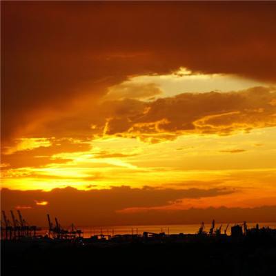 NG28加拿大软件下载